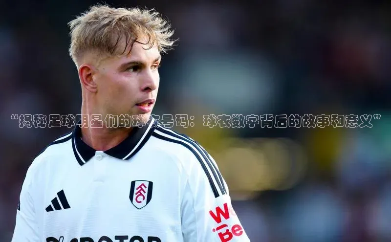 中欧体育app下载安装百度翻译App