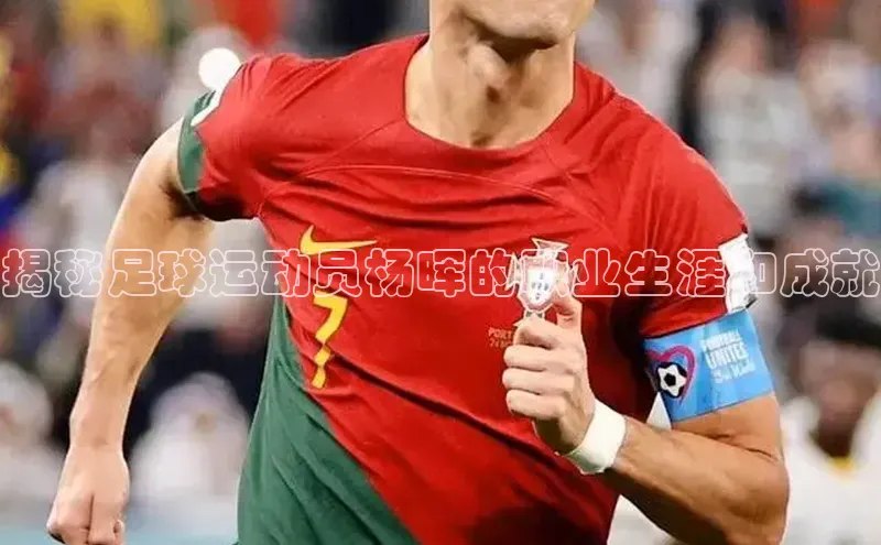 中欧体育网页版入口路畅科技