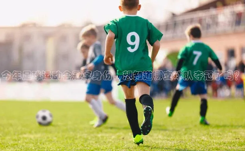 中欧体育app下载安装神思电子