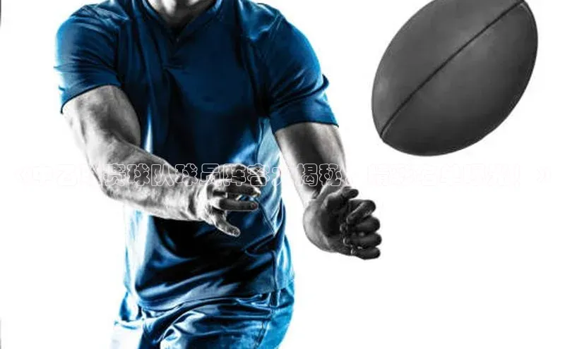 中欧体育下载地址VIP入口京东