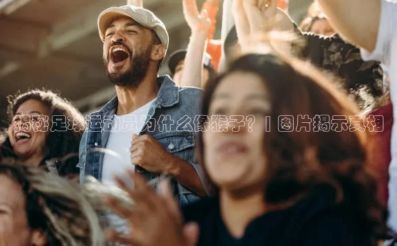 zoty中欧体育官方网站顺丰