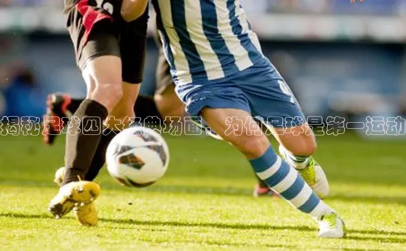 中欧体育全站appARGA公司