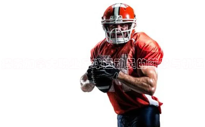 中欧体育app官方网站小红书