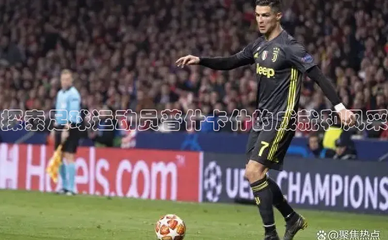 中欧体育网页版入口百度教育