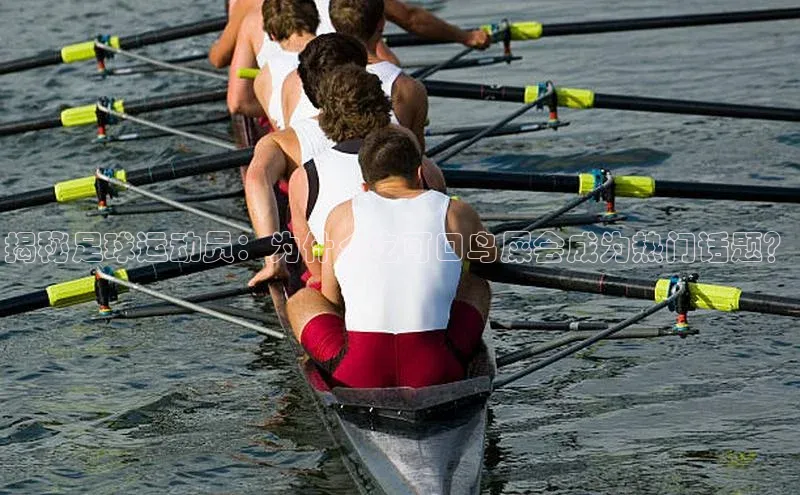 zoty中欧体育梯哥哥科技