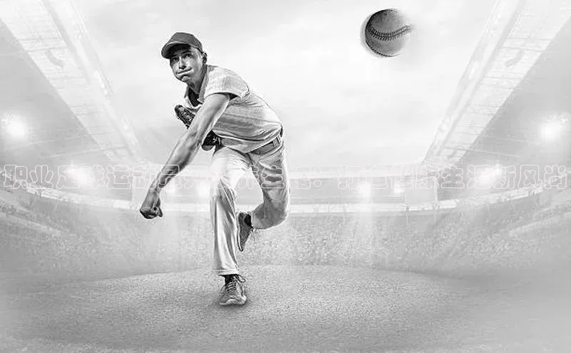 中欧体育网页百度游戏