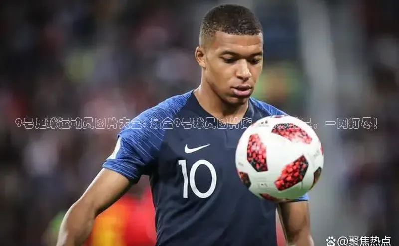 zoty官方体育网页版慧博云通