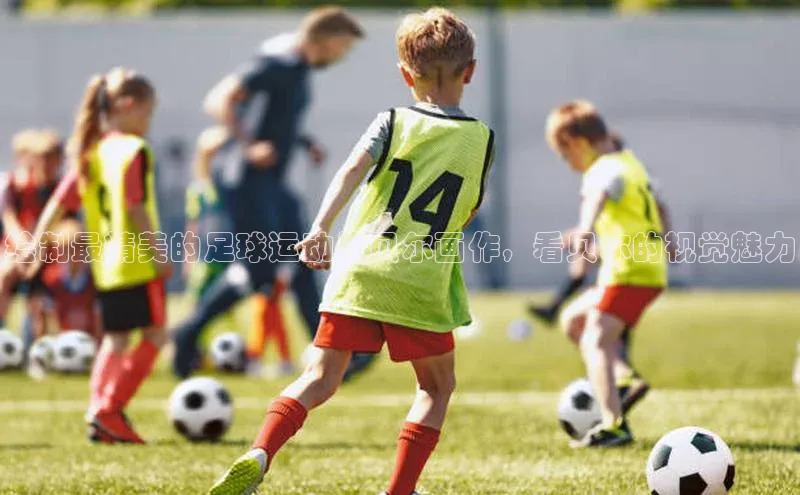 中欧体育app最新版本更新内容百度百聘