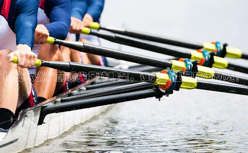 中欧体育官方平台入口阿里尔公司