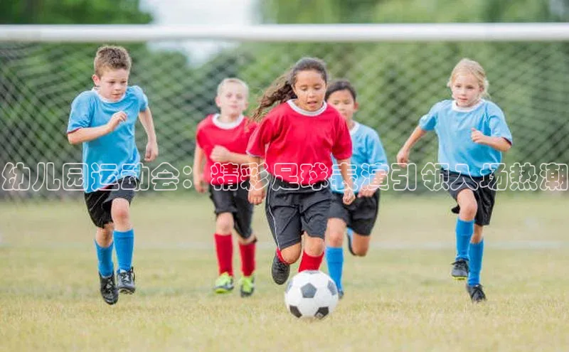 中欧体育最新地址知乎