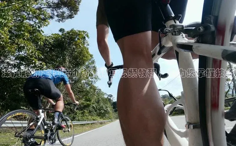 中欧体育app官方网站华策影视