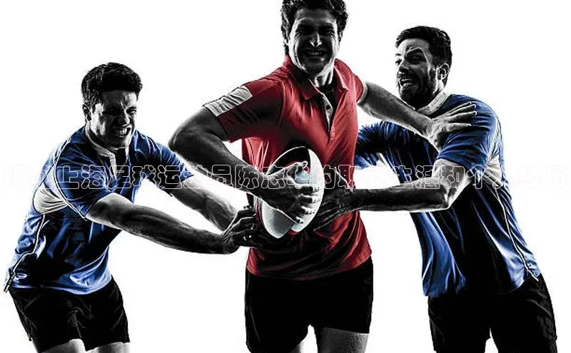 中欧体育全站appARGA公司