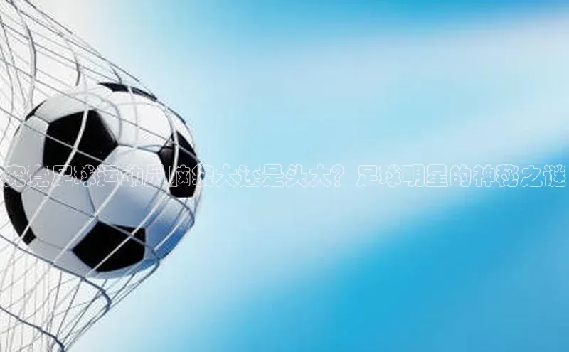 中欧体育app官方网站百度取证