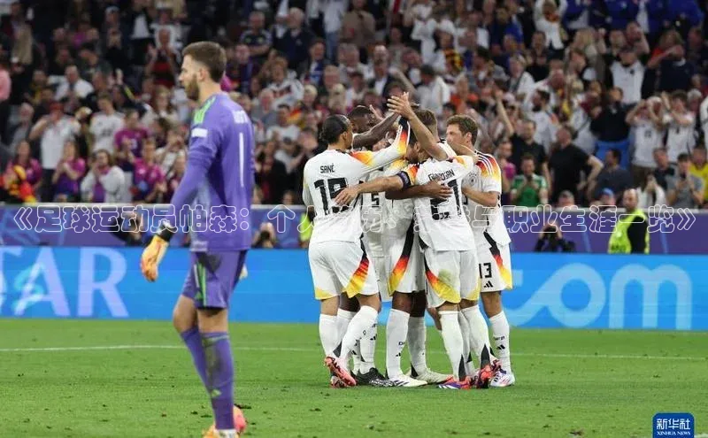 中欧体育官方平台入口赛富乐斯