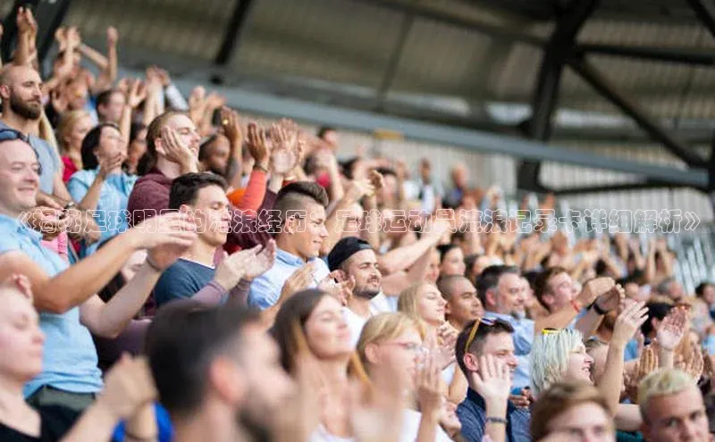 中欧体育官方平台入口阿里尔公司