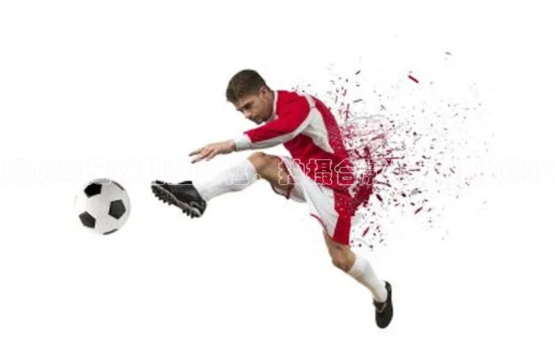 zoty中欧体育官方网站顺丰