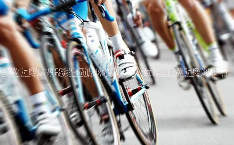 中欧体育网页版入口路畅科技