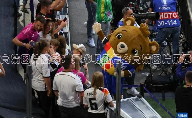 中欧体育app最新版本更新内容网易