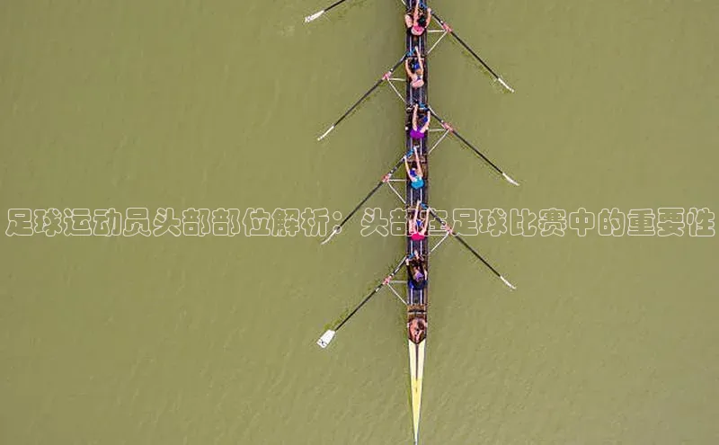 中欧体育官方平台入口赛富乐斯