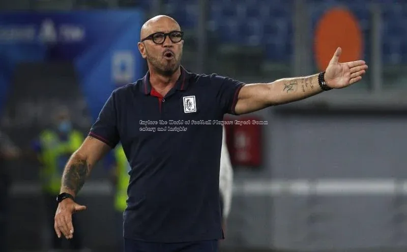 中欧体育zoty下载百度翻译