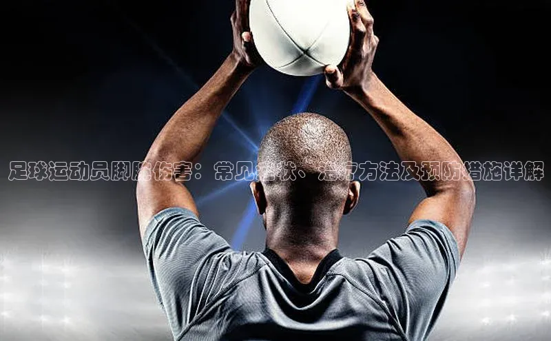 中欧体育下载地址VIP入口京东