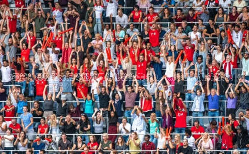 中欧体育app最新版本更新内容百度百聘