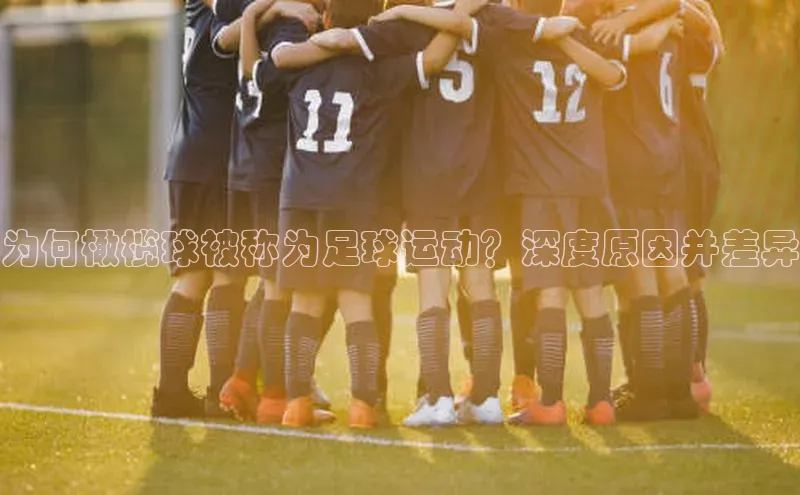 zoty中欧体育平台官网百度Apollo