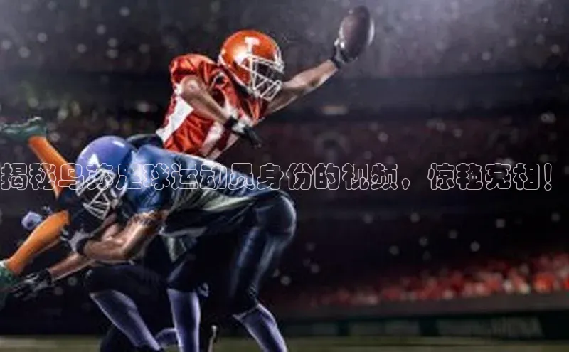 中欧体育网页版入口路畅科技