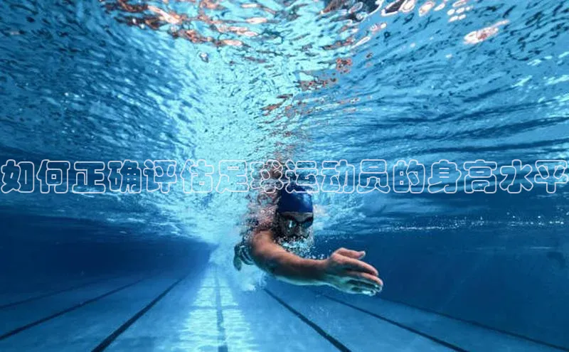 中欧体育官方平台入口网址百度手机助手