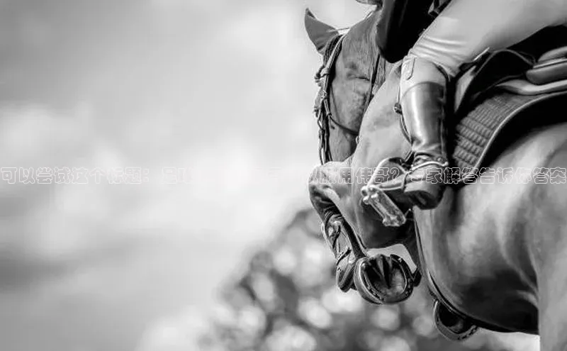 中欧体育最新地址雷柏科技
