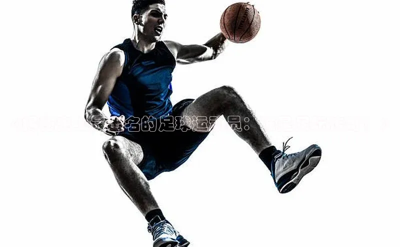 中欧体育集团诸葛科技