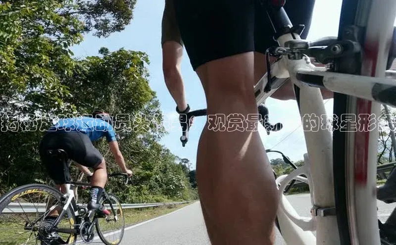 中欧体育全站app轻美电器