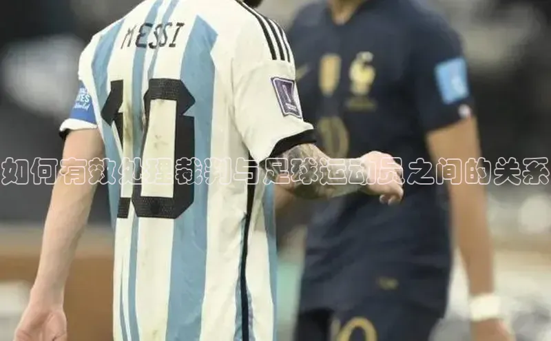 中欧体育集团每日互动