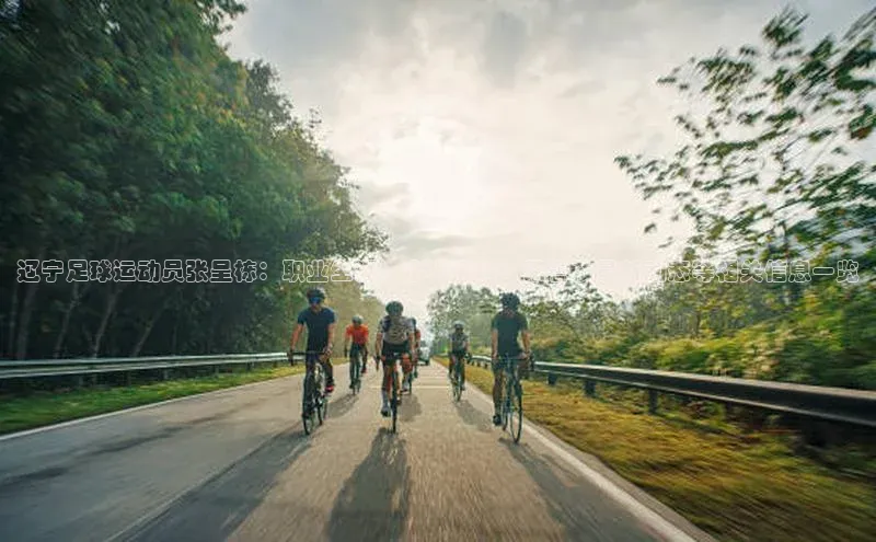 中欧体育网页版入口中海达