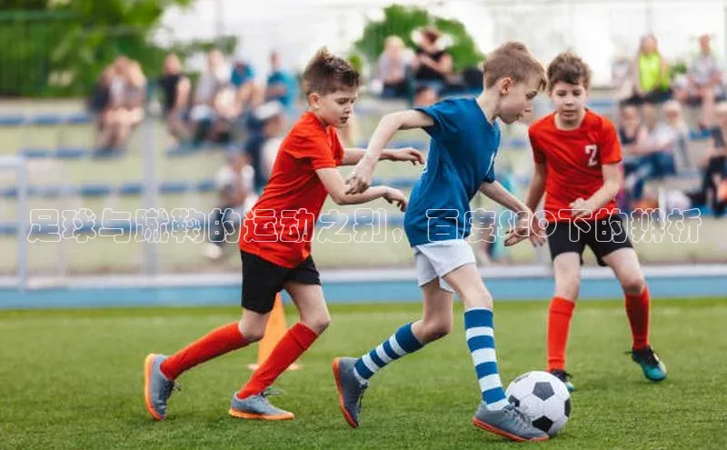 中欧体育下载地址VIP入口京东