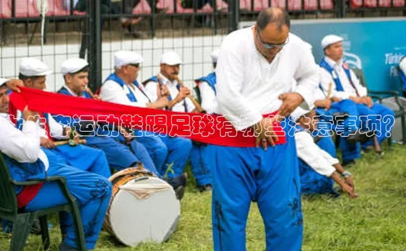 中欧体育app下载安装百度翻译App