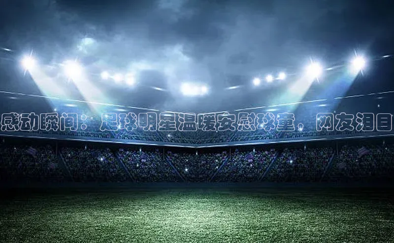 zoty中欧体育官方网站顺丰