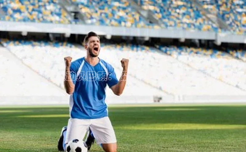 zoty中欧体育官方网站顺丰