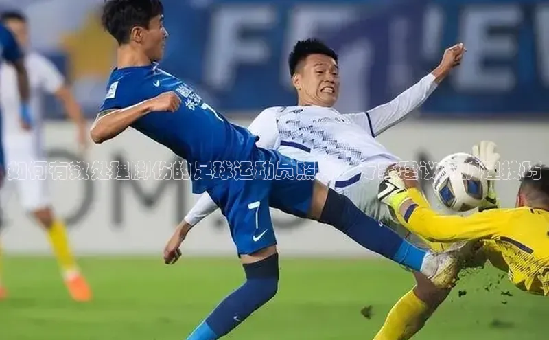 中欧体育官方平台入口赛富乐斯