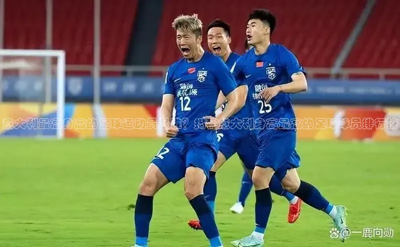 中欧体育app最新版本更新内容汉得信息