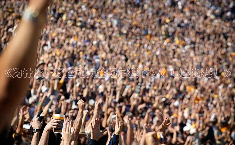 zoty中欧体育官方网站顺丰