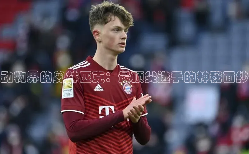 zoty官方体育网页版携程