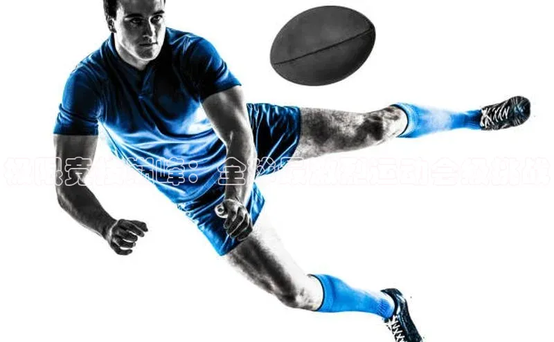 中欧体育网页版入口