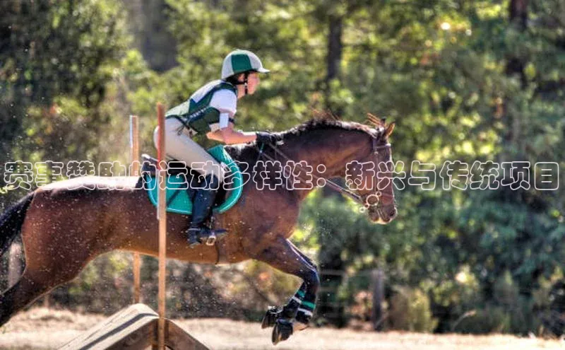 中欧体育最新地址