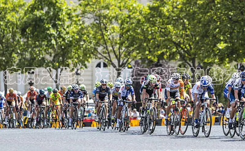 中欧体育全站app在线登录