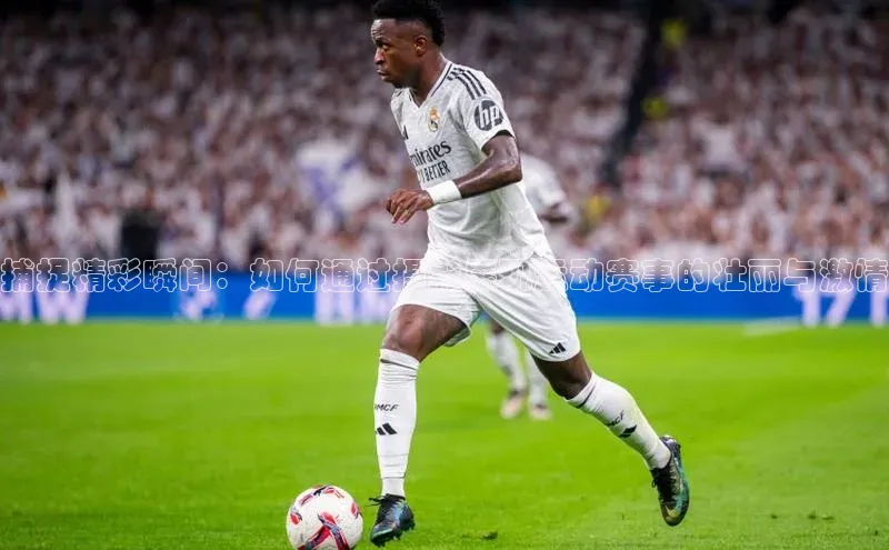 中欧体育下载地址VIP入口