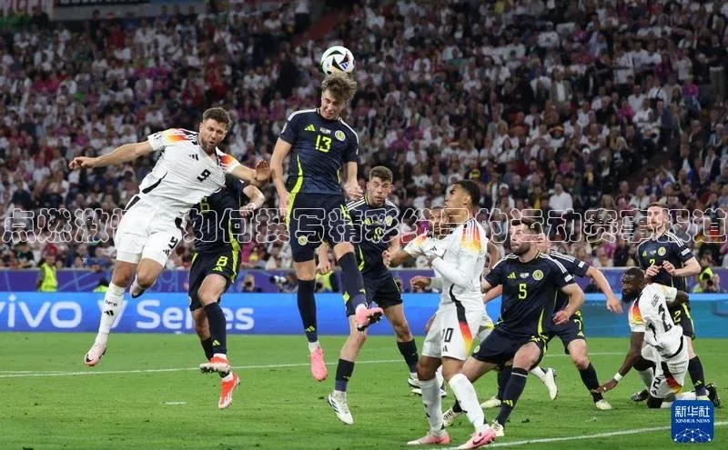 中欧体育网页版入口