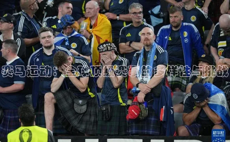 中欧体育官方平台入口网址