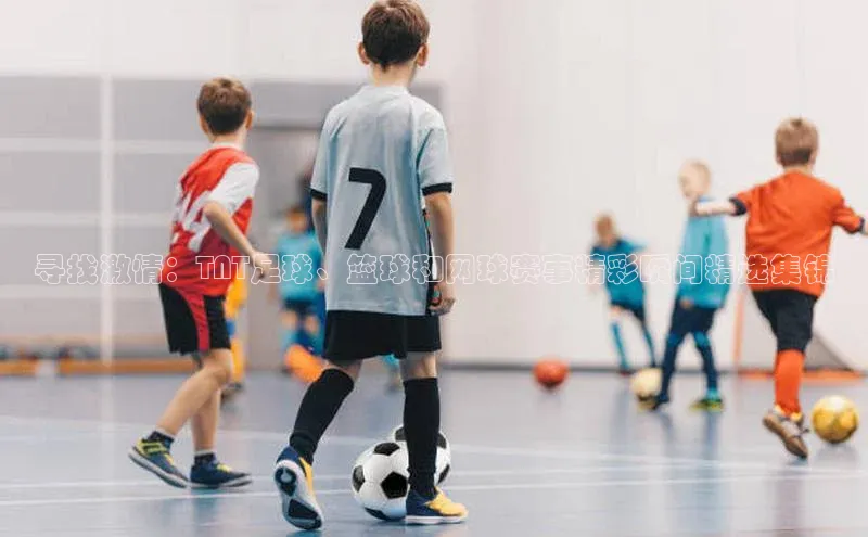 中欧体育网页版入口