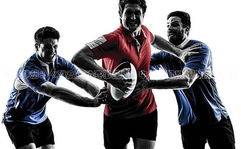 中欧体育官方平台入口